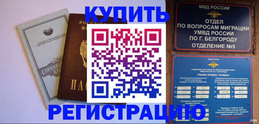 прописка гарантия в Тынде